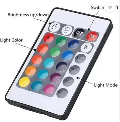 LED Rope Lights with Remote