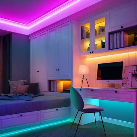 LED Rope Lights with Remote