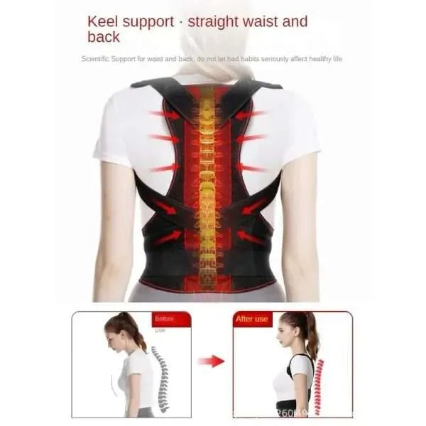 Posture Support Belt