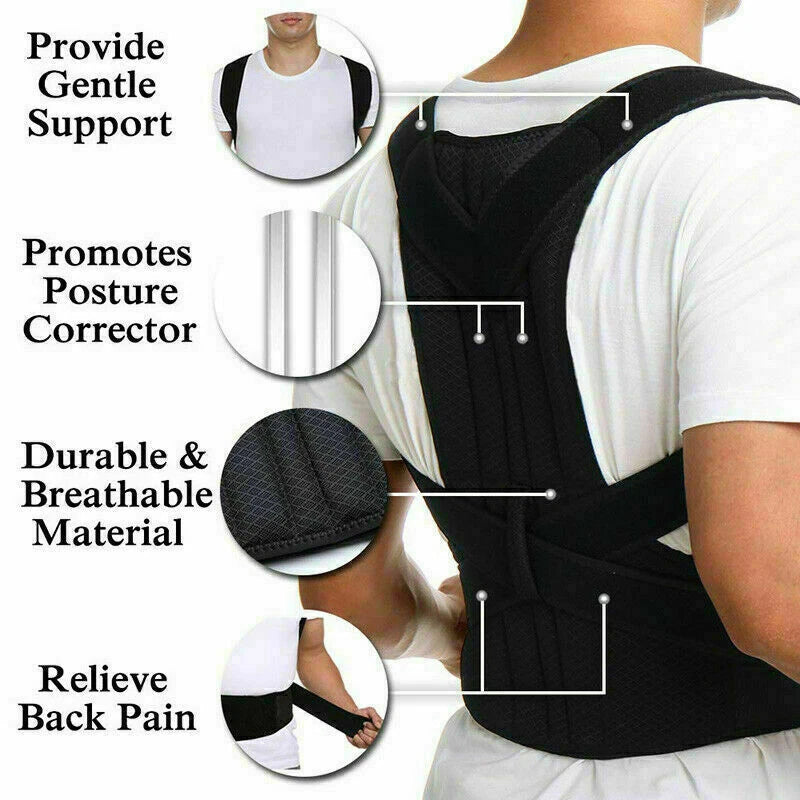 Posture Support Belt